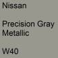 Preview: Nissan, Precision Gray Metallic, W40.